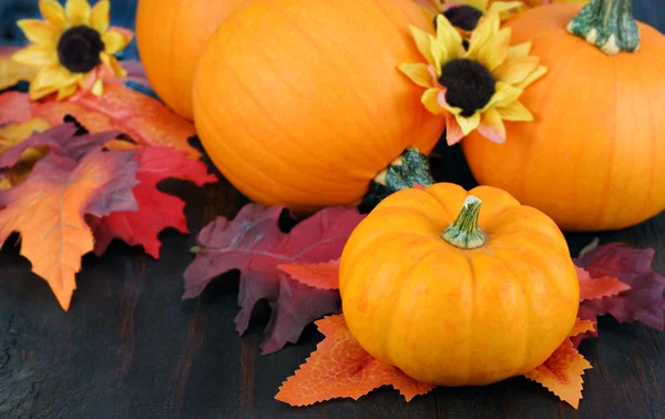 Zucche, margherite e foglie d'autunno . — Foto Stock