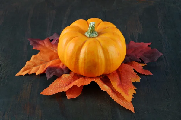Pumpkin sitting on fall colored leaves on a rustic wooden table. — Stock Photo, Image