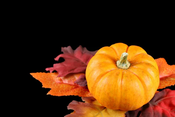 Pumpkin and Leaves Isolated on Black — Stock Photo, Image