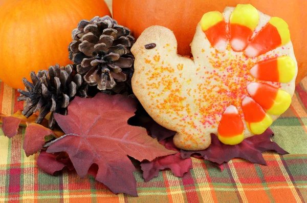 Turkiet cookie med pumpor, löv och kottar. — Stockfoto