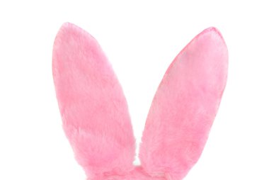 Pink Furry Bunny Ears on white with copy space clipart
