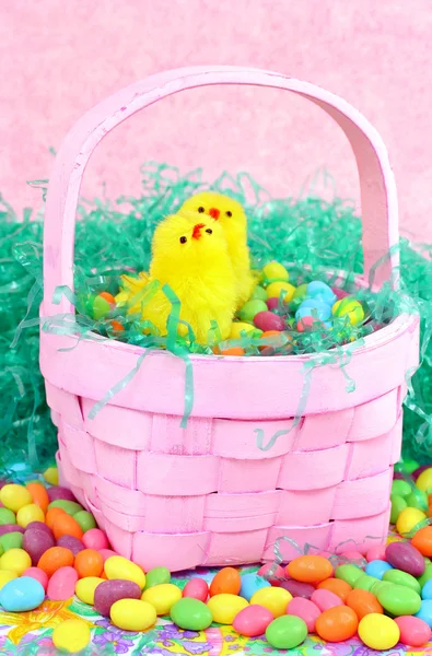 Húsvéti kosár csibék és candy — Stock Fotó