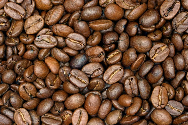 Fresh coffee beans for background — Stock Photo, Image