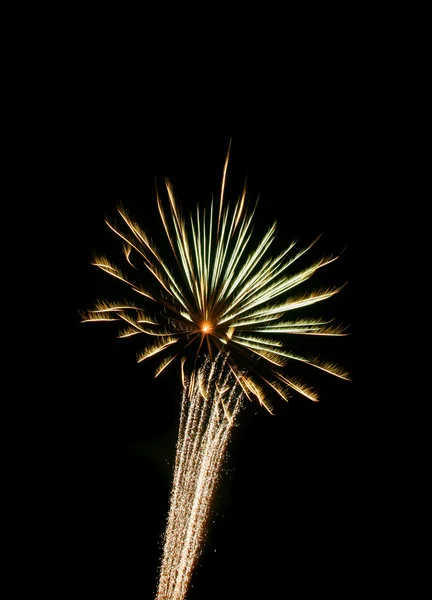 Vertikales Feuerwerk — Stockfoto