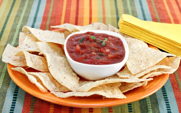 Salsa e Tortilla Chips — Fotografia de Stock
