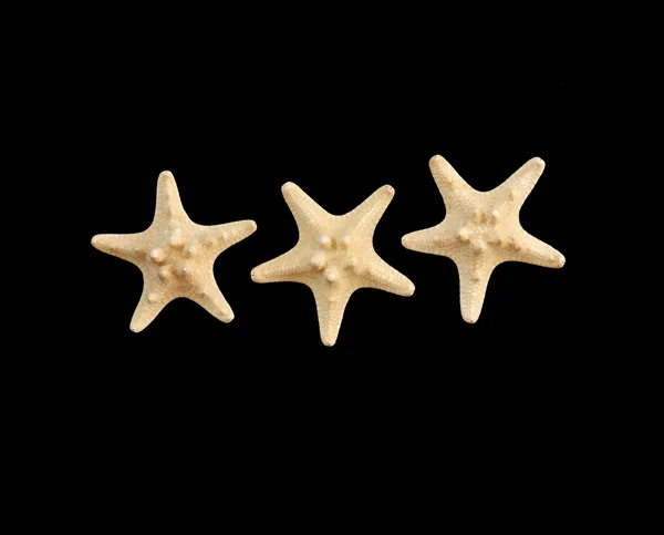 Starfish, grande, isolado sobre fundo preto — Fotografia de Stock