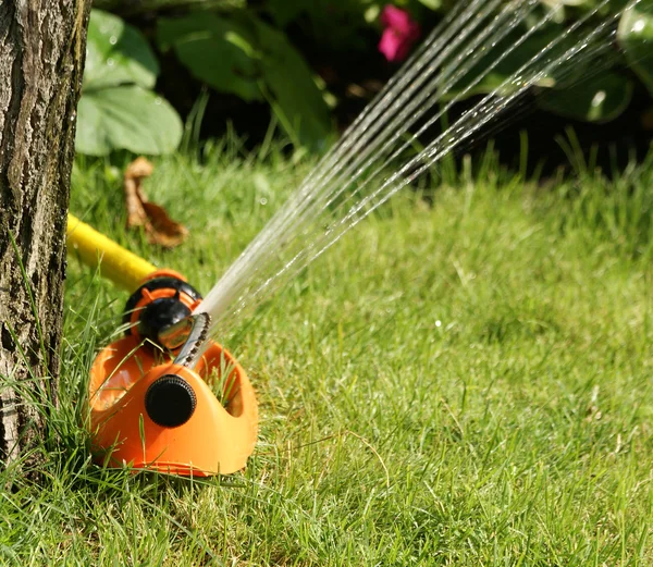 Irrigatie sprinkler drenken gras — Stockfoto