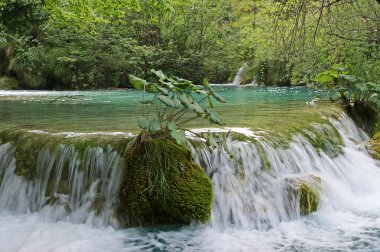 dağ akan dere veya vahşi su amaongst taşları