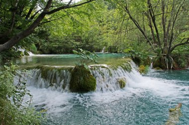 Mountain flowing stream or wild water amaongst the stones clipart