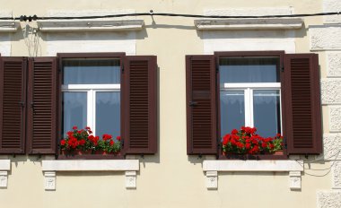 pencere, pencere pervazı, porec, Istria, Hırvatistan üzerinde çiçekler olan bir evde