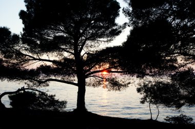 bir gün batımı arka denizde ağaçlarda hatlarını