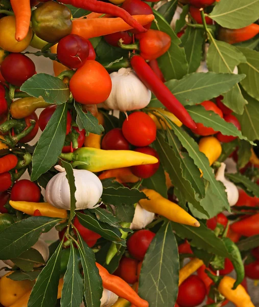 stock image Assortment of fresh vegetables