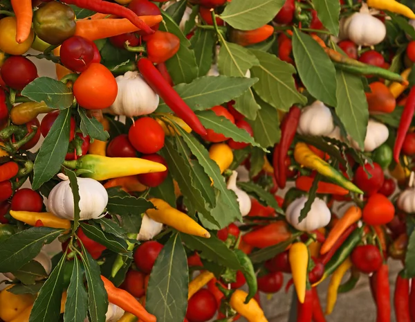 Stock image Assortment of fresh vegetables