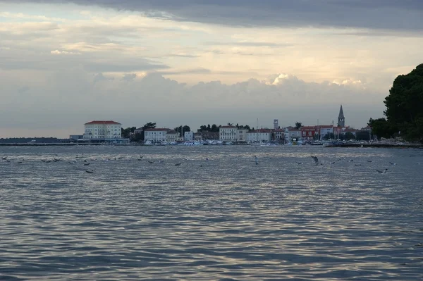 Vistas Mar Ciudad Hora Puesta Del Sol Croacia Porec —  Fotos de Stock