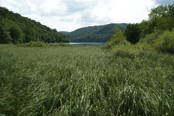 Paisagem composta por montanhas e lago. Os lagos de Plitvice — Fotografia de Stock