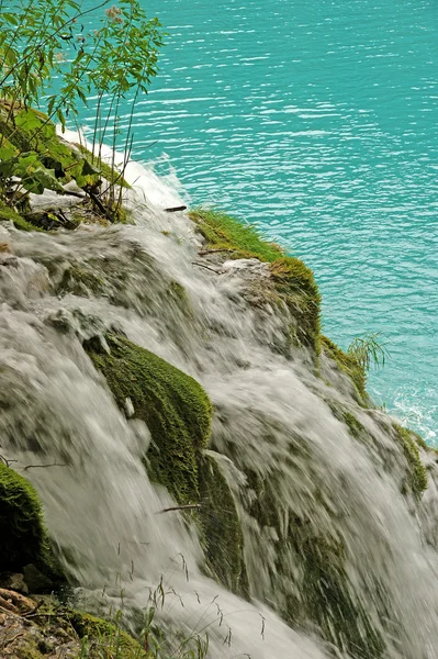 Vloeiende Bergbeek Wild Water Amaongst Stenen — Stockfoto