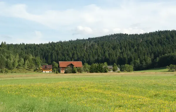 Grönt Fält Bergslandskap — Stockfoto