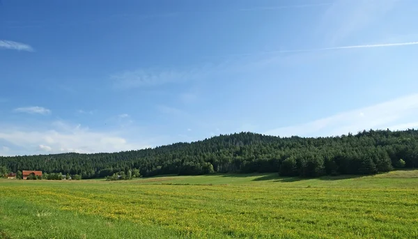 Green field - Mountain Landscape — Stock Photo, Image