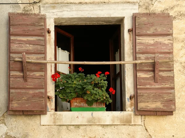 stock image Window of an apartment house with flowers on the windowsill, Porec, Istria, Croatia
