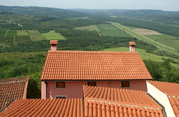 Вид на дом с красными крышами и сводами с высокой точки. Город. — стоковое фото