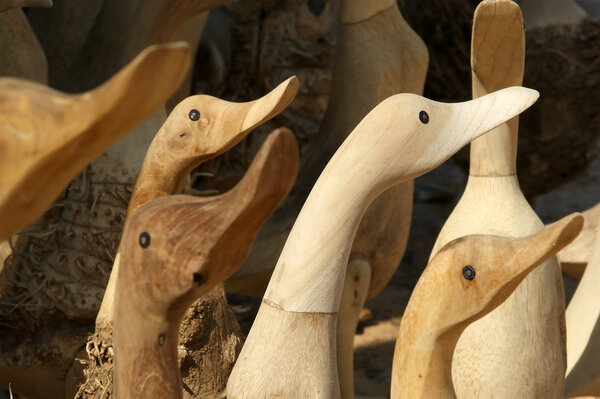 Souvenir picture of wood duck closeup