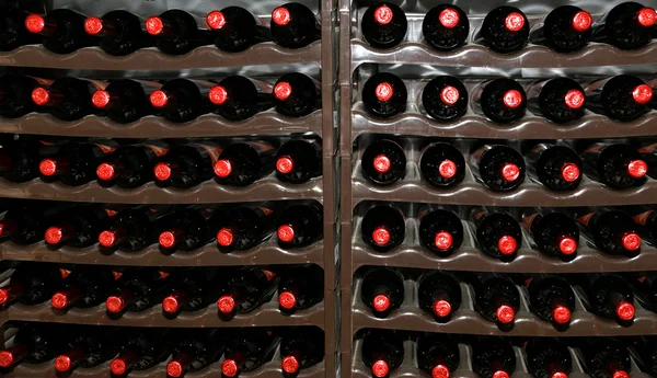 Винний льох, пляшки вина на складі — стокове фото