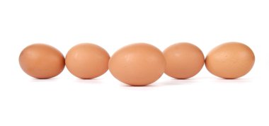 Beyaz arkaplanda yalıtılmış yumurtalar