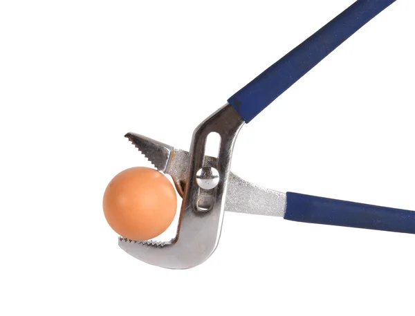 Egg clamped in a vise pipe fittings key on a white background — Stock Photo, Image