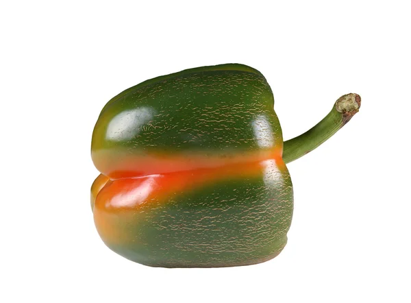 Large multi-colored pepper in a white and black background — Stock Photo, Image