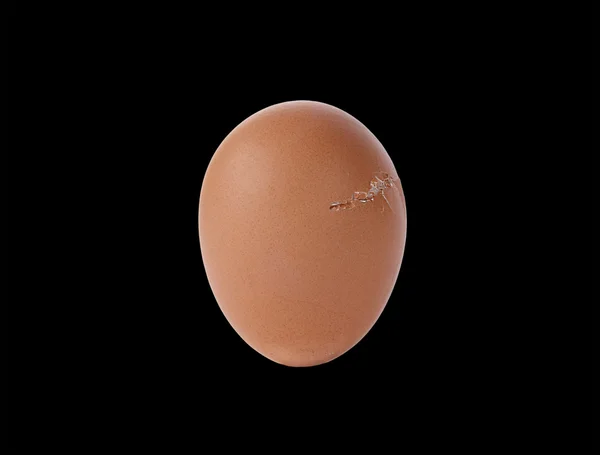 Αυγό απομονωμένο σε μαύρο φόντο — Φωτογραφία Αρχείου