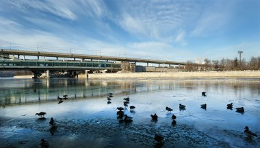 Moskova Nehri, luzhnetskaya Köprüsü (metro Köprüsü) ve mesire