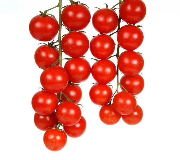 チェリー トマト--はトマトの小さい庭の様々 なです。 — ストック写真