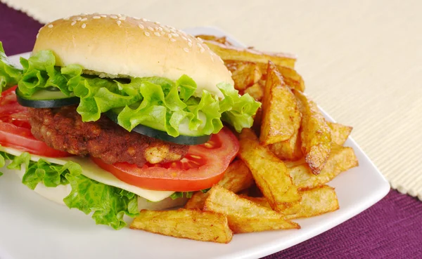 Hamburger with Fries — Stock Photo, Image