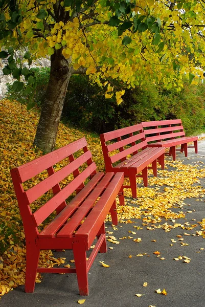 Red Benches — Stock Photo, Image