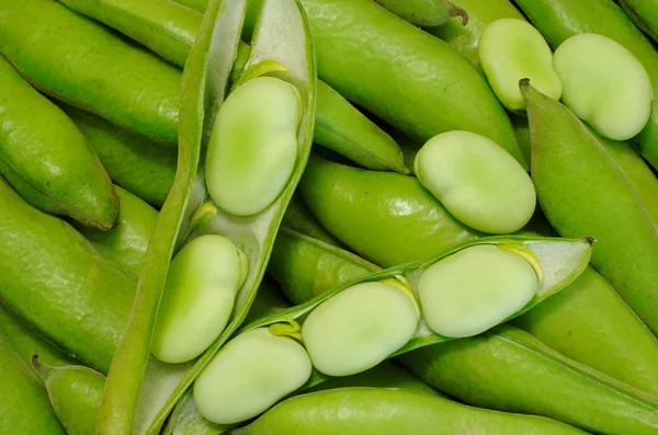 Habas - Peruvian Beans — Stock Photo, Image