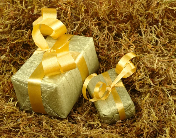 Goldene Geschenke auf Moos — Stockfoto