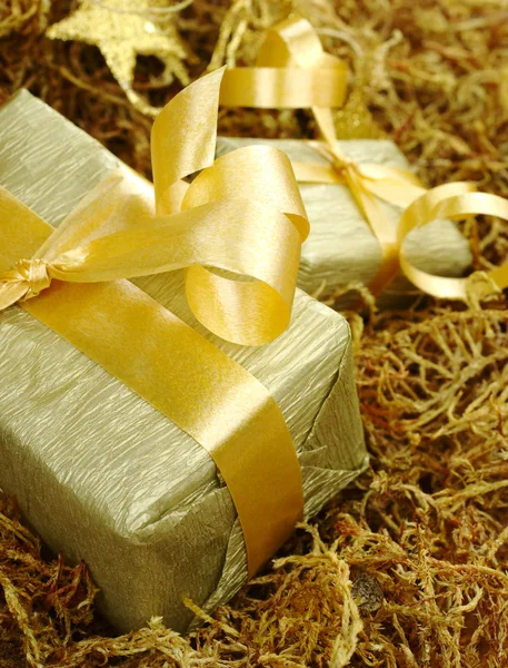 Zlatá dárky na mech — Stock fotografie