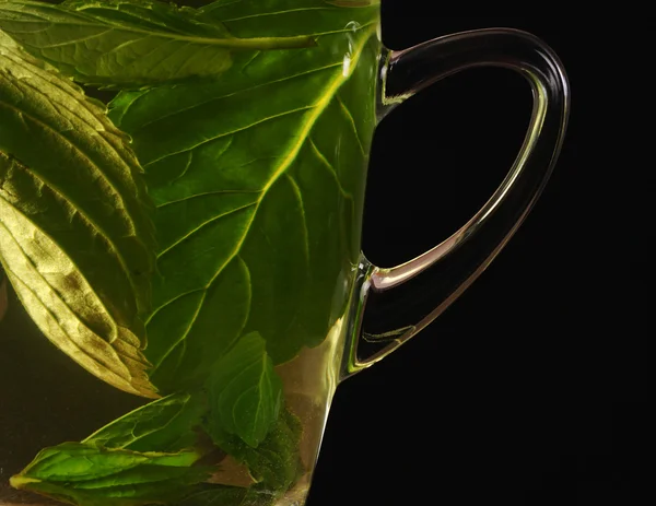 新鮮なミントのお茶 — ストック写真