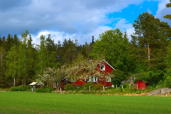 Rode huis onder bloeiende bomen Stockfoto
