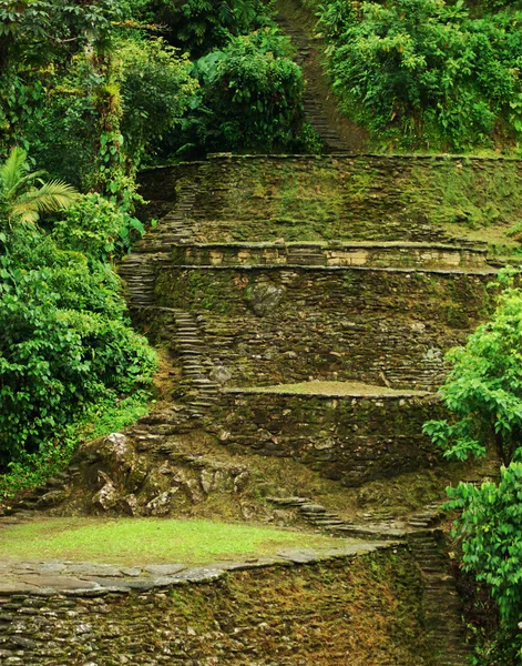 老梯田在接近在哥伦比亚北部的圣玛尔塔佩尔迪达城由建造的泰罗纳 — 图库照片