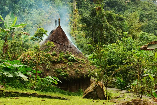小兴义小屋建在泰罗纳在哥伦比亚北部的丛林中的传统方式 在小屋的顶是保持干燥的烟 — 图库照片