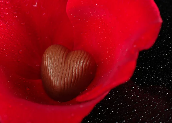 Melk chocolade hart in roze bloemblaadjes met druppels — Stockfoto