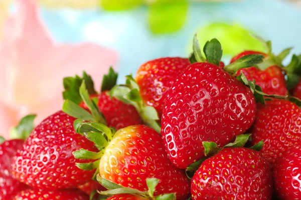 Nahaufnahme Von Frischen Erdbeeren Selektiver Fokus Fokus Auf Die Erdbeere — Stockfoto