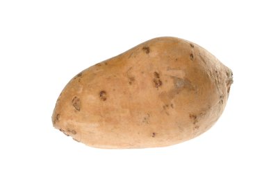Tatlı patates (lat. Ipomoea batatas) üzerinde beyaz izole