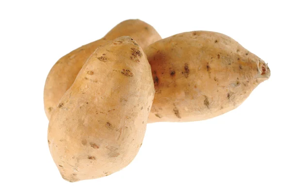 Beyaz tatlı patates — Stok fotoğraf