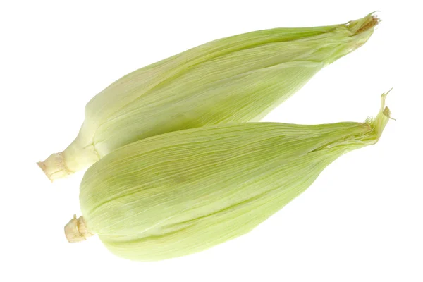 Pollitos de maíz en blanco — Foto de Stock