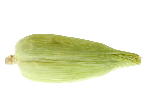 Mazorca de maíz en blanco — Foto de Stock