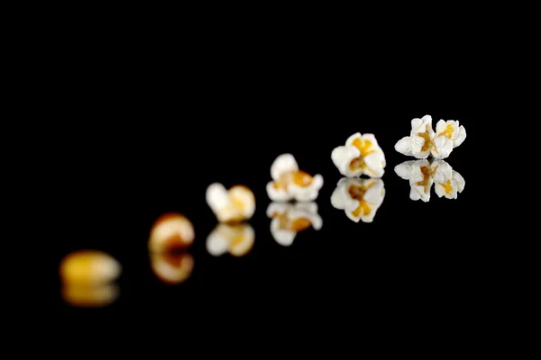 stock image The Evolution of Popcorn
