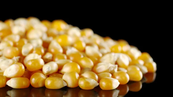 Maïs kernels op zwart — Stockfoto