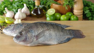 Balık tilapia denir